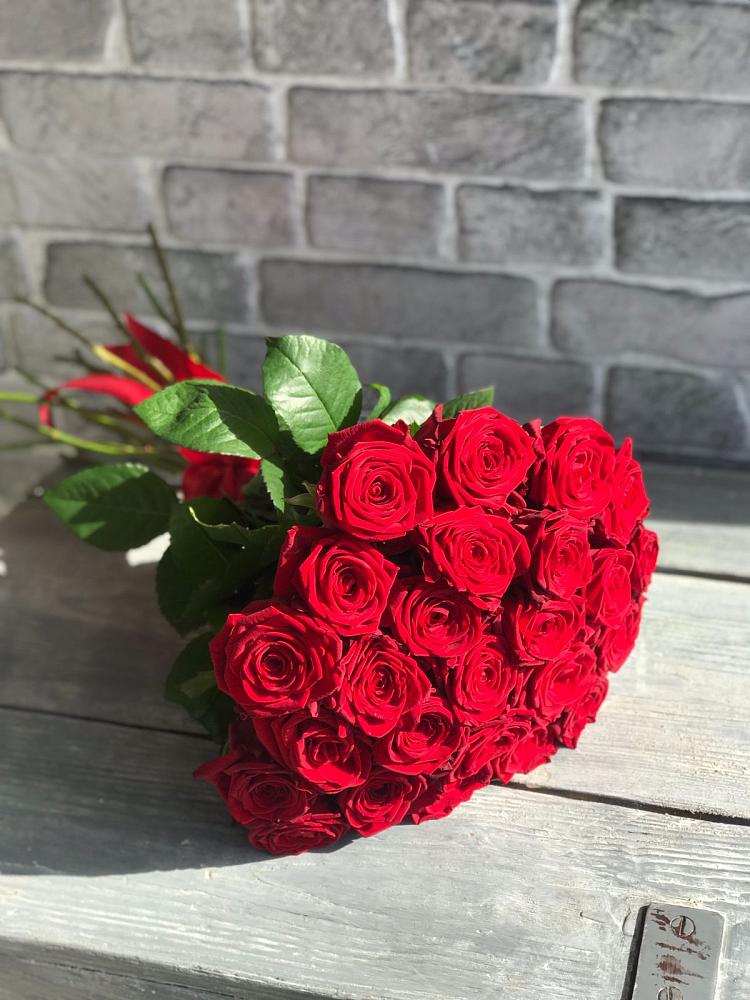 Букет Красные розы Фридом в Буе