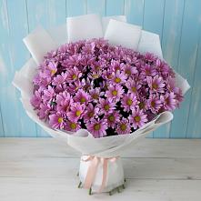Букет цветов из:  Хризантемы в Буе