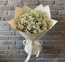 Букет цветов из:  Ромашки #REPLACE_PRED# Буе