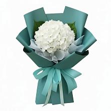 Букет цветов из:  Гортензия в Буе